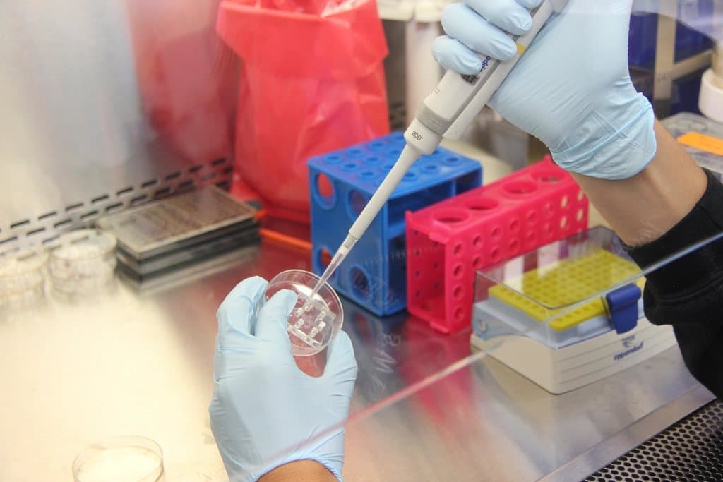 Gloved hands pipetting a measured volume at the laboratory bench